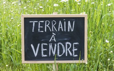 Pourquoi faire appel a un lotisseur pour trouver un terrain ?